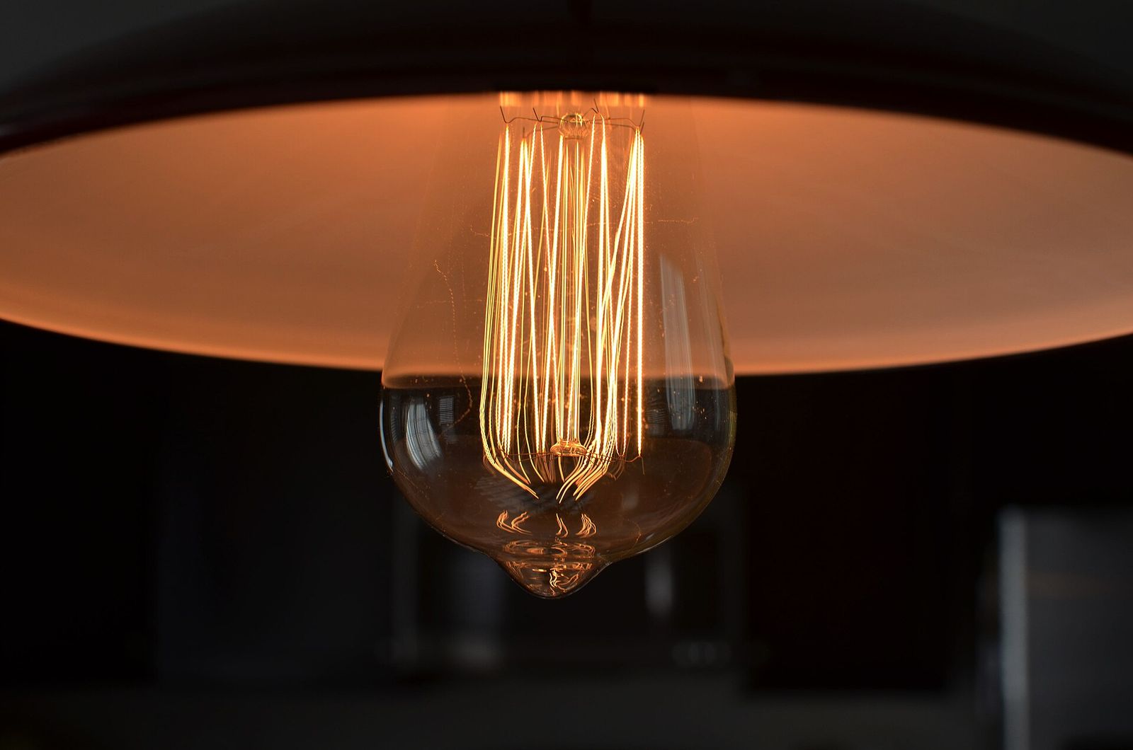A pendant with a long filament bulb